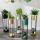 Luxury Living Room Plant Stands